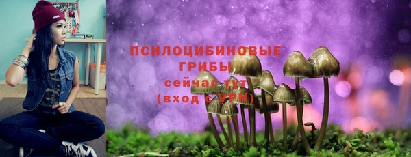 таблы Новодвинск