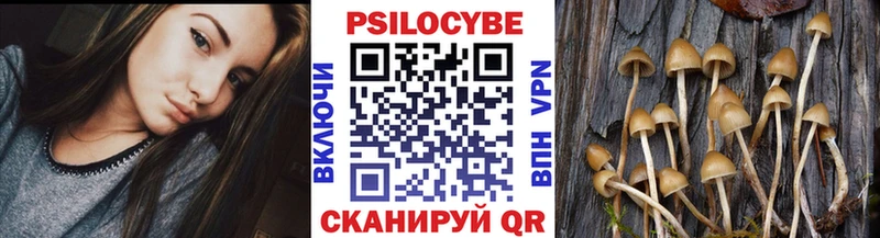 Галлюциногенные грибы GOLDEN TEACHER  Чехов 